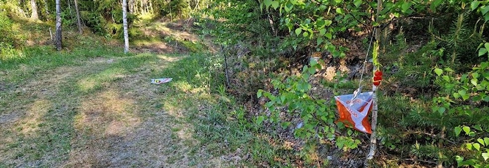 O-løp på Kvamsfjellet